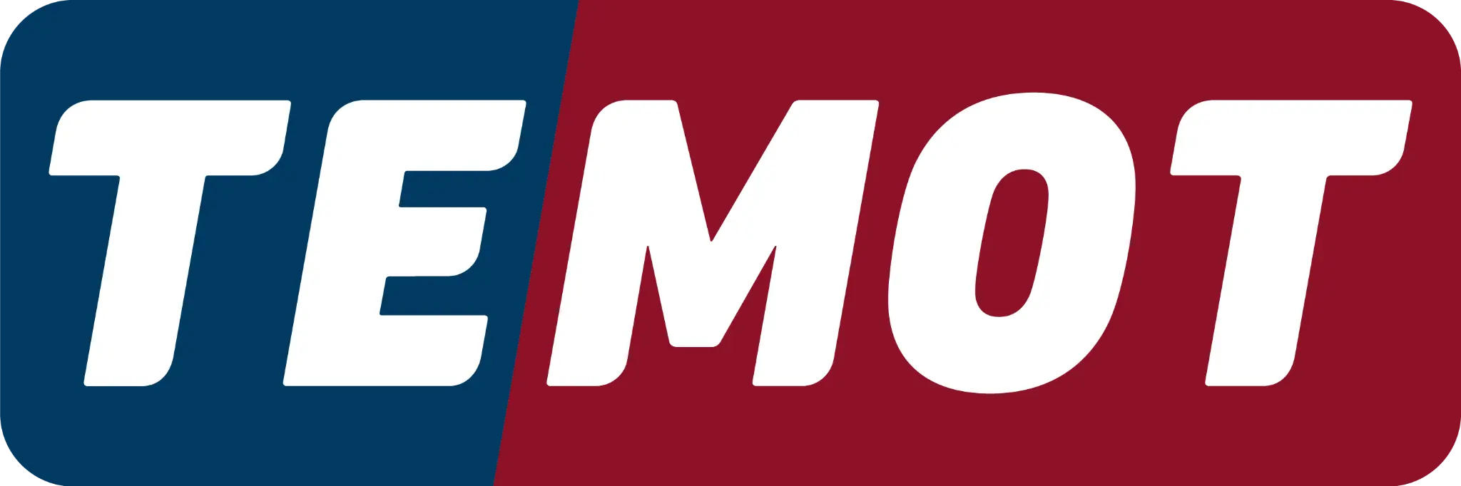TEMOT Logo
